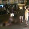 Adu Bagong, Dua Tewas Satu Kritis